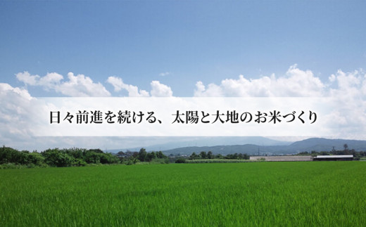 【令和7年産】八重原産コシヒカリ（白米）2kgと信州味噌「八重原味噌」500gのセット｜特別栽培米（減農薬・減化学肥料栽培） 大桂商店【太陽と大地】※2025年10月中旬以降発送