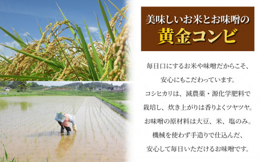 【令和7年産】八重原産コシヒカリ（白米）2kgと信州味噌「八重原味噌」500gのセット｜特別栽培米（減農薬・減化学肥料栽培） 大桂商店【太陽と大地】※2025年10月中旬以降発送