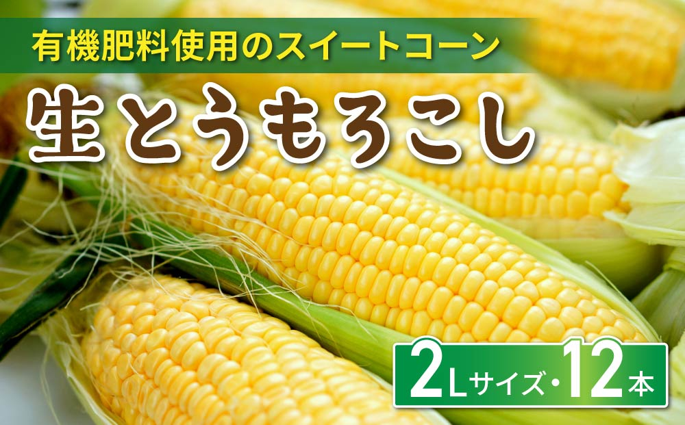 生とうもろこし 2Lサイズ 12本  有機肥料使用のスイートコーン！ 長野県東御市産 ※7月上旬から順次発送予定※発送曜日指定不可