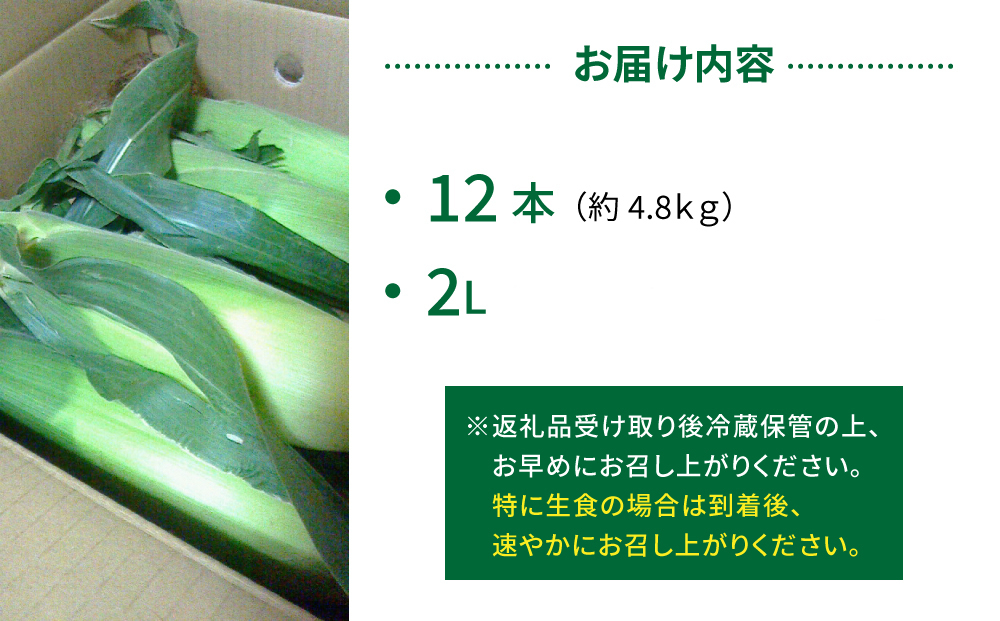 çãšããããã 2Lãµã€ãº 12æ¬ ææ©è¥æäœ¿çšã®ã¹ã€ãŒãã³ãŒã³ïŒ é·éçæ±åŸ¡åžç£ â»7æäžæ¬ããé æ¬¡çºéäºå®â»çºéæ¥æå®äžå¯