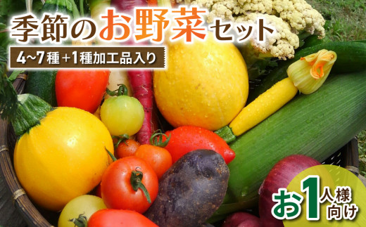 お試し季節のお野菜と加工品セット（お一人様向け）｜５～８種類の野菜・加工品詰め合わせ【アグロノーム】