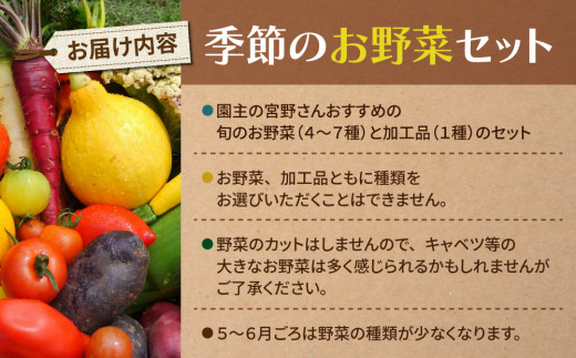 お試し季節のお野菜と加工品セット（お一人様向け）｜５～８種類の野菜・加工品詰め合わせ【アグロノーム】