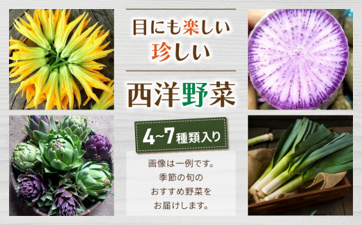 お試し季節のお野菜と加工品セット（お一人様向け）｜５～８種類の野菜・加工品詰め合わせ【アグロノーム】