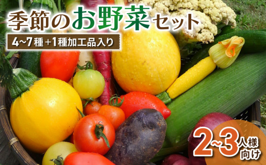 季節のお野菜と加工品セット（2～3人様向け）｜５～８種類の野菜・加工品詰め合わせ【アグロノーム】