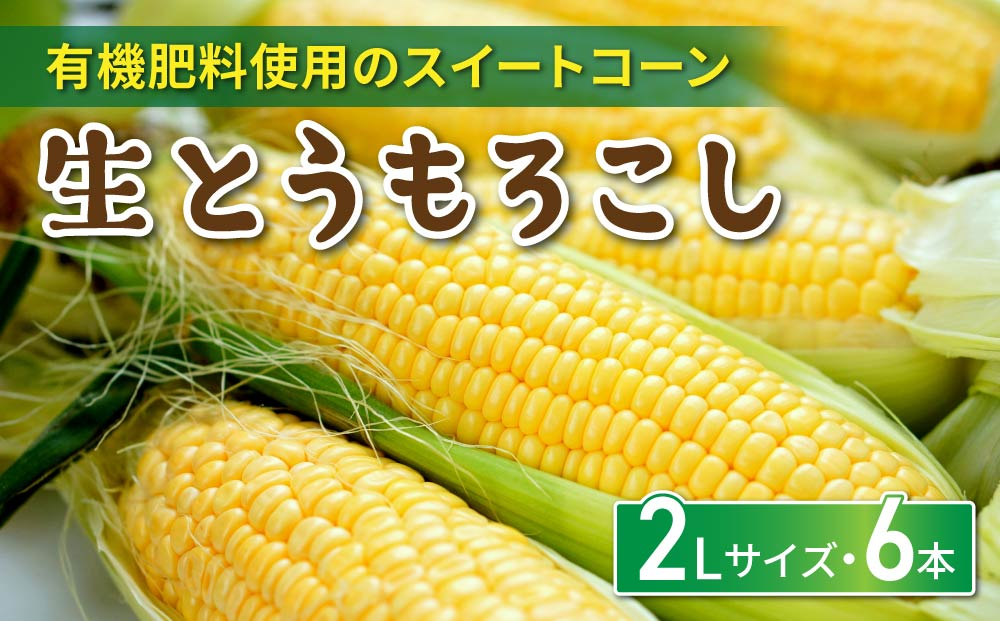 生とうもろこし 2Lサイズ 6本 有機肥料使用のスイートコーン！ 長野県東御市産 ※7月上旬から順次発送予定※発送曜日指定不可