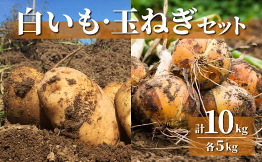 白いも(M～Lサイズ）と玉ねぎ（L～2Lサイズ）各5kg｜じゃがいも【数量限定】詰め合わせ※2026年8月下旬～10月下旬に順次発送予定※着日指定不可