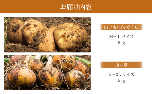 白いも(M～Lサイズ）と玉ねぎ（L～2Lサイズ）各5kg｜じゃがいも【数量限定】詰め合わせ※2026年8月下旬～10月下旬に順次発送予定※着日指定不可