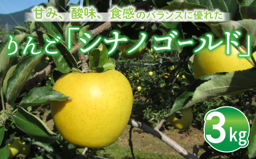 りんご「シナノゴールド」3kg  長野県オリジナル品種｜JA信州うえだ東部地区営農課 東御市産 ※10月下旬～11月下旬頃お届け予定