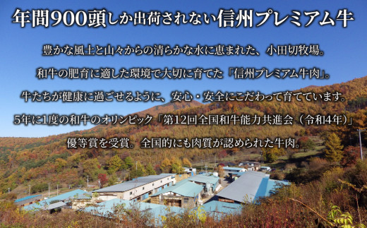 小田切牧場 信州和牛ビーフシチュー5個セット（１個1人前160g）