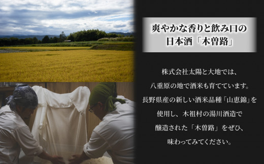 縲蝕WC繧キ繝ォ繝舌シ蜿苓ウ槭第律譛ャ驟 貉ッ蟾晞帝蠎励梧惠譖ス霍ッ縲 邏皮アウ螻ア諱オ骭ヲ