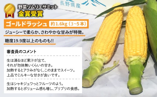 ãå
è¡åä»2026幎çºéãéèãœã ãªãšãµãããéè³åè³ïŒæ±åŸ¡åžç£ãšãããããïŒãã¥ã¢ãã¯ã€ãã»ãŽãŒã«ãã©ãã·ã¥ïŒçŽ3.2kgïŒ7ïœ10æ¬ïŒïœåŸ¡ç§å
«éå蟲å ã¹ã€ãŒãã³ãŒã³ â»2026幎7æäžæ¬ïœ9æäžæ¬ã«é 次çºéäºå®â»çæ¥æå®äžå¯