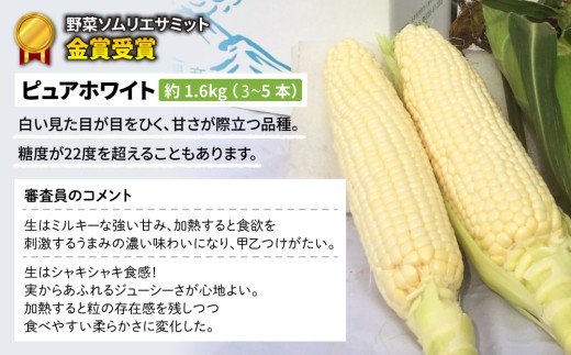 ãå
è¡åä»2026幎çºéãéèãœã ãªãšãµãããéè³åè³ïŒæ±åŸ¡åžç£ãšãããããïŒãã¥ã¢ãã¯ã€ãã»ãŽãŒã«ãã©ãã·ã¥ïŒçŽ3.2kgïŒ7ïœ10æ¬ïŒïœåŸ¡ç§å
«éå蟲å ã¹ã€ãŒãã³ãŒã³ â»2026幎7æäžæ¬ïœ9æäžæ¬ã«é 次çºéäºå®â»çæ¥æå®äžå¯