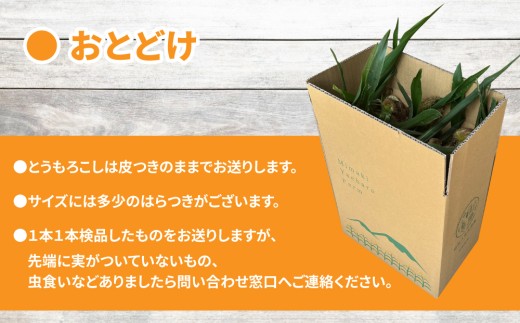 ãå
è¡åä»2026幎çºéãéèãœã ãªãšãµãããéè³åè³ïŒæ±åŸ¡åžç£ãšãããããïŒãã¥ã¢ãã¯ã€ãã»ãŽãŒã«ãã©ãã·ã¥ïŒçŽ3.2kgïŒ7ïœ10æ¬ïŒïœåŸ¡ç§å
«éå蟲å ã¹ã€ãŒãã³ãŒã³ â»2026幎7æäžæ¬ïœ9æäžæ¬ã«é 次çºéäºå®â»çæ¥æå®äžå¯