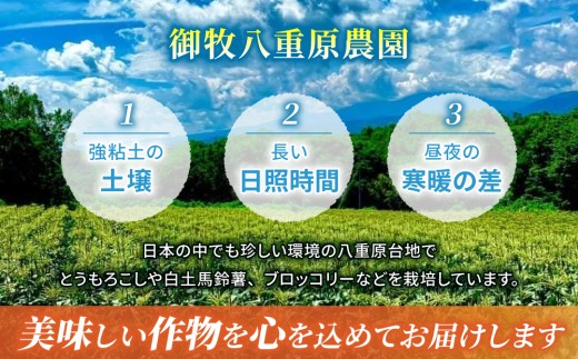 ãå
è¡åä»2026幎çºéãéèãœã ãªãšãµãããéè³åè³ïŒæ±åŸ¡åžç£ãšãããããïŒãã¥ã¢ãã¯ã€ãïŒçŽ3.2kgïŒ7ïœ10æ¬ïŒ | 埡ç§å
«éå蟲å ã¹ã€ãŒãã³ãŒã³â»2026幎7æäžæ¬ïœ9æäžæ¬é ã«é 次çºéäºå®â»çæ¥æå®äžå¯