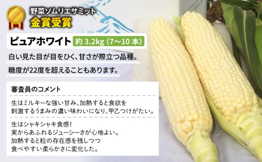 ãå
è¡åä»2026幎çºéãéèãœã ãªãšãµãããéè³åè³ïŒæ±åŸ¡åžç£ãšãããããïŒãã¥ã¢ãã¯ã€ãïŒçŽ3.2kgïŒ7ïœ10æ¬ïŒ | 埡ç§å
«éå蟲å ã¹ã€ãŒãã³ãŒã³â»2026幎7æäžæ¬ïœ9æäžæ¬é ã«é 次çºéäºå®â»çæ¥æå®äžå¯