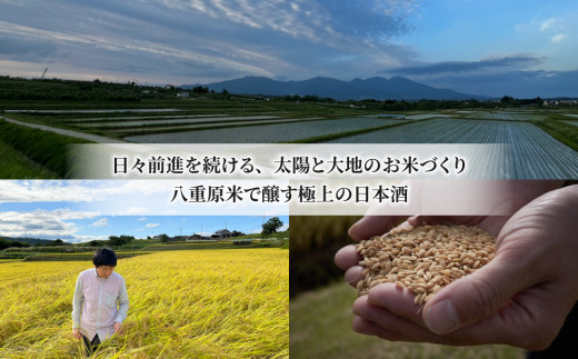 譌・譛ャ驟 螟ァ菫。蟾 蜈ォ驥榊次邏皮アウ螟ァ蜷滄ク 縺イ縺ィ縺斐%縺。 720ml 1譛ャ ス懊仙、ァ菫。蟾樣帝縲 譌・譛ャ驟帝荘隧穂シ 驥題ウ 蜿苓ウ 驟定鳩 蜈ォ驥榊次逕」縺イ縺ィ縺斐%縺。