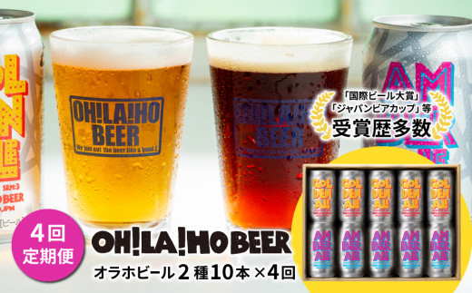 【4回定期便】ゴールデンエール＆アンバーエール 10本定期便 クラフトビール 飲み比べ