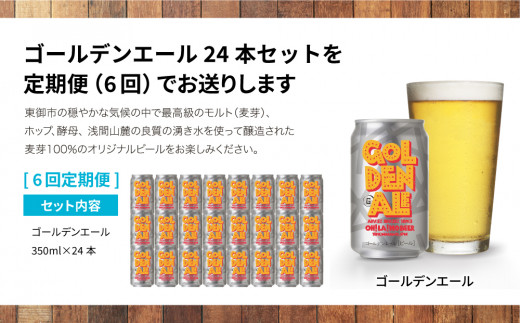 【6回定期便】クラフトビール「ゴールデンエール」24本定期便｜オラホビール 地ビール※インターナショナル・ビアカップ2020銅賞受賞