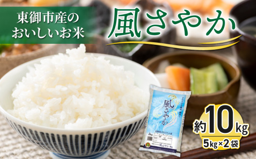 【R7年産】長野県産おいしいお米「風さやか」白米 約10kg｜JA信州うえだ東部地区営農課 国産 東御市産 お米 こめ