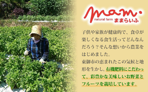 ããã¿ã®ãžã§ãããŒãŒ 3åã»ãããããã¥ã©ã«ãã¡ãŒã ãŸãŸãããµã