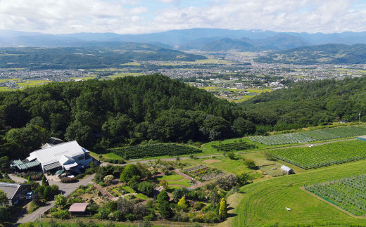 ããŽã£ã©ãã¹ãã¯ã€ããªãŒãããžã¿ãã«ã·ãªãŒãºé£åšãã·ãªã¢ã«ããŠã«ïŒæïŒãšã³ããŠãšãºãããŒãïŒã»ãã