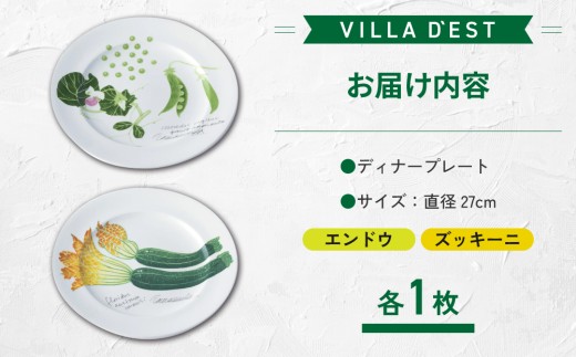 【ヴィラデストワイナリー】ベジタブルシリーズ食器　ディナープレート２枚（エンドウとズッキーニ）セット