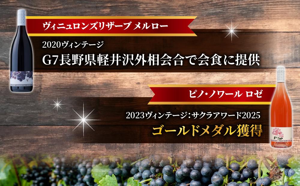 【ヴィラデストワイナリー】ベジタブルシリーズ食器　ディナープレート２枚（エンドウとズッキーニ）セット