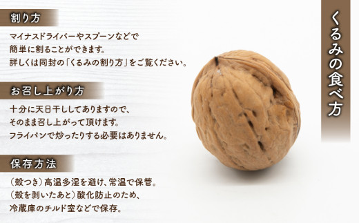 殻つきくるみ約1.4kg（2025年収穫分）｜JA信州うえだ東部地区営農課 胡桃 信濃くるみ ナッツ 家庭用 自宅用 おつまみ おやつ 国産 信州 長野県東御市