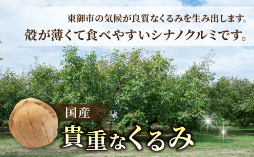 殻つきくるみ約1.4kg（2025年収穫分）｜JA信州うえだ東部地区営農課 胡桃 信濃くるみ ナッツ 家庭用 自宅用 おつまみ おやつ 国産 信州 長野県東御市