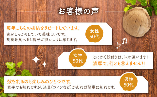殻つきくるみ約1.4kg（2025年収穫分）｜JA信州うえだ東部地区営農課 胡桃 信濃くるみ ナッツ 家庭用 自宅用 おつまみ おやつ 国産 信州 長野県東御市
