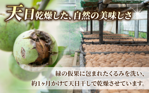 殻つきくるみ約1.4kg（2025年収穫分）｜JA信州うえだ東部地区営農課 胡桃 信濃くるみ ナッツ 家庭用 自宅用 おつまみ おやつ 国産 信州 長野県東御市
