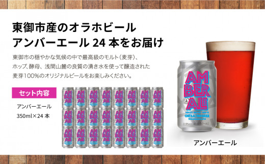 アンバーエール 24本セット クラフトビール