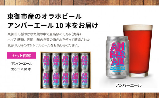アンバーエール10本セット クラフトビール