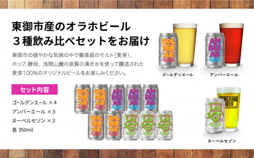 オラホビール3種飲み比べ10本セット |_ 地ビール クラフトビール 350ml 10本 10缶 IPA 飲み比べ 長野県 長野 東御市 信州 ギフト プレゼント 常温