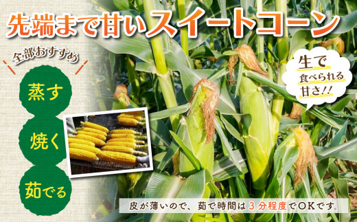 ãå
è¡åä»2026幎çºéããšããããã15æ¬ïœãã«ãŒãã¿ãããªã€ãšããŒã¹ã€ãŒãã³ãŒã³(ãŽãŒã«ãã©ãã·ã¥åã¯ãã¬ãã¢ã æªæ¥) ïœåŸ¡ç§ãµãé蟲å â»2026幎7æäžæ¬é ïœ9æäžæ¬é ãå±ãäºå®â»çæ¥æå®äžå¯