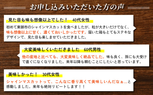 【先行受付2026年発送】シャインマスカット3kg（5～6房）【秋お届け】｜JA信州うえだ農業協同組合 長野 人気 ぶどう 贈答用 ギフト フルーツ 果物 おすすめ 厳選 種無し 皮ごと 大粒