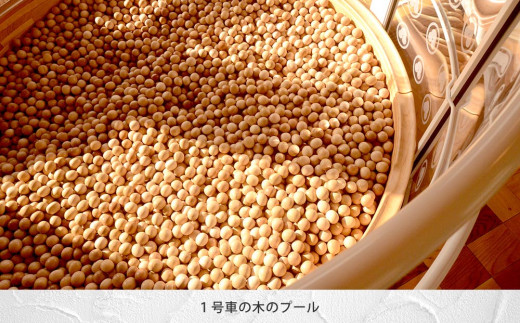 観光列車「ろくもん」ペア乗車券＋おみやげ付き 東御市産ワイン2本（赤・白）セット | 旅行 長野 長野県 軽井沢 パッケージ旅行 お食事券 しなの鉄道 旅鉄 2名