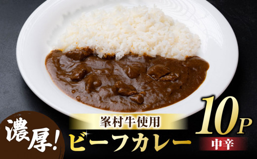【信州プレミアム牛】ビーフカレー10個セット｜牧舎みねむら  ※着日指定不可