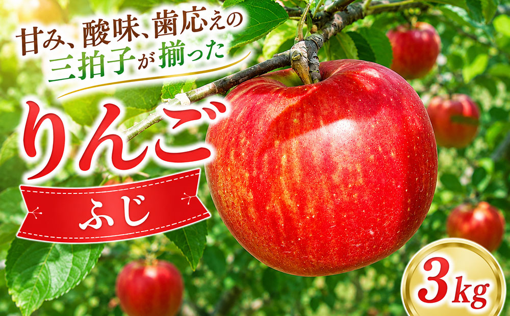 りんご 約3kg(ふじ) |JA信州うえだ農業協同組合 長野県 東御市産 ※11月下旬〜12月中旬頃に順次発送予定
