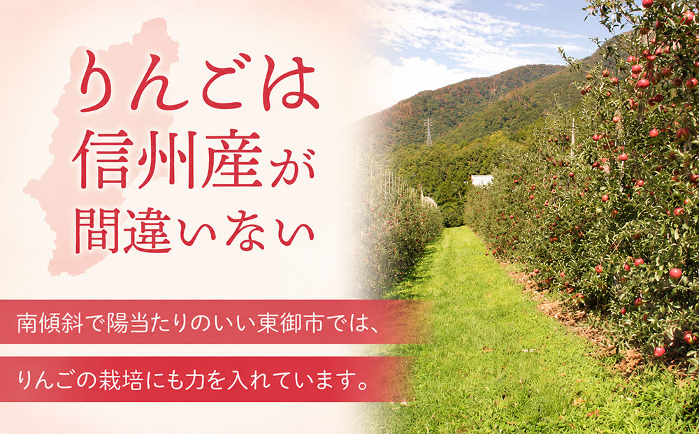 りんご 約3kg（ふじ） ｜JA信州うえだ農業協同組合 長野県 東御市産 ※11月下旬～12月中旬頃に順次発送予定