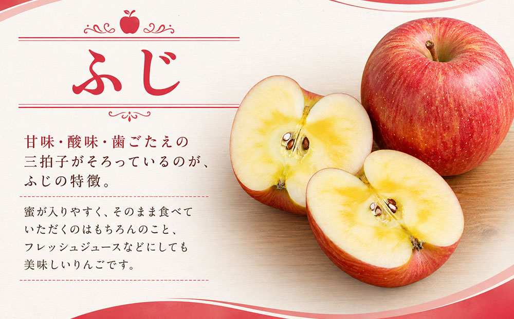 りんご 約3kg（ふじ） ｜JA信州うえだ農業協同組合 長野県 東御市産 ※11月下旬～12月中旬頃に順次発送予定
