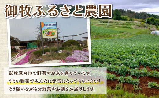 ãå
è¡åä»2026幎çºéãçœå銬éŽè¯ïŒããããããç·çµïŒçŽ10kgïœåŸ¡ç§ãµãéèŸ²å æ±åŸ¡åžç£ â»2026幎8ïœ12æãå±ã