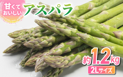【先行受付2026年発送】アスパラガス約1.2kg（200g×6袋） ｜JA信州うえだ東部地区営農課 長野 東御市産 ※2026年4月下旬～6月下旬頃に順次発送予定
