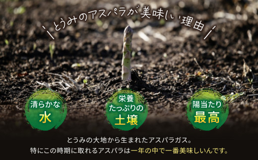 縲仙郁。悟女莉2026蟷エ逋コ騾√代い繧ケ繝代Λ繧ャ繧ケ邏1.2kgシ200gテ6陲具シ ス廱A菫。蟾槭≧縺医□譚ア驛ィ蝨ー蛹コ蝟カ霎イ隱イ 髟キ驥 譚ア蠕。蟶ら肇 窶サ2026蟷エ4譛井ク区流ス6譛井ク区流鬆縺ォ鬆谺。逋コ騾∽コ亥ョ