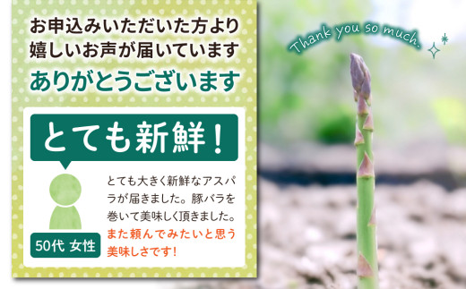 縲仙郁。悟女莉2026蟷エ逋コ騾√代い繧ケ繝代Λ繧ャ繧ケ邏1.2kgシ200gテ6陲具シ ス廱A菫。蟾槭≧縺医□譚ア驛ィ蝨ー蛹コ蝟カ霎イ隱イ 髟キ驥 譚ア蠕。蟶ら肇 窶サ2026蟷エ4譛井ク区流ス6譛井ク区流鬆縺ォ鬆谺。逋コ騾∽コ亥ョ