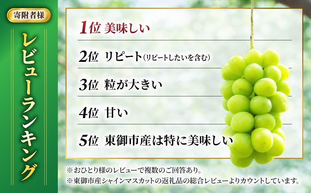 【先行予約 2026年発送】シャインマスカット2房 1.1kg以上【秋お届け】｜JA信州うえだ農業協同組合 長野 先行予約 産地直送 ぶどう 贈答用 ギフト 2房 フルーツ 果物 おすすめ 厳選 種無し 皮ごと 大粒