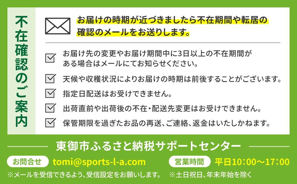 【先行予約 2026年発送】シャインマスカット2房 1.1kg以上【秋お届け】｜JA信州うえだ農業協同組合 長野 先行予約 産地直送 ぶどう 贈答用 ギフト 2房 フルーツ 果物 おすすめ 厳選 種無し 皮ごと 大粒