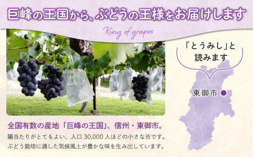 縲仙郁。悟女莉2026蟷エ逋コ騾√醍ィョ縺ゅj蟾ィ蟲ー邏2kgシ4ス6謌ソシ会ス廱A菫。蟾槭≧縺医□譚ア驛ィ蝨ー蛹コ蝟カ霎イ隱イ 髟キ驥 譚ア蠕。蟶やサ9譛井ク頑流ス10譛井ク頑流鬆縺雁ア翫¢莠亥ョ