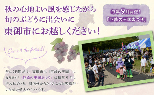縲仙郁。悟女莉2026蟷エ逋コ騾√醍ィョ縺ゅj蟾ィ蟲ー邏2kgシ4ス6謌ソシ会ス廱A菫。蟾槭≧縺医□譚ア驛ィ蝨ー蛹コ蝟カ霎イ隱イ 髟キ驥 譚ア蠕。蟶やサ9譛井ク頑流ス10譛井ク頑流鬆縺雁ア翫¢莠亥ョ