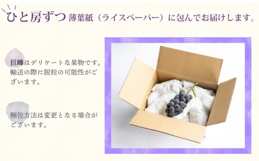 縲仙郁。悟女莉2026蟷エ逋コ騾√醍ィョ縺ゅj蟾ィ蟲ー邏2kgシ4ス6謌ソシ会ス廱A菫。蟾槭≧縺医□譚ア驛ィ蝨ー蛹コ蝟カ霎イ隱イ 髟キ驥 譚ア蠕。蟶やサ9譛井ク頑流ス10譛井ク頑流鬆縺雁ア翫¢莠亥ョ